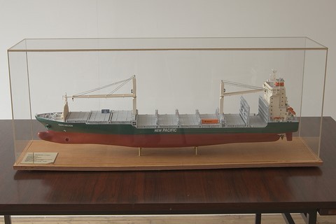 Maquette de bateau : porte-conteneur Cape Nelson sous verre