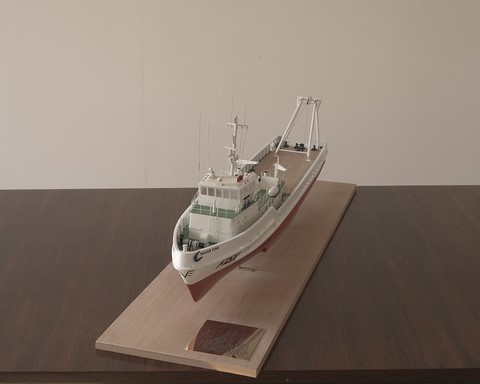 Silver Fish, navire de support pour les plate-formes pétrolières