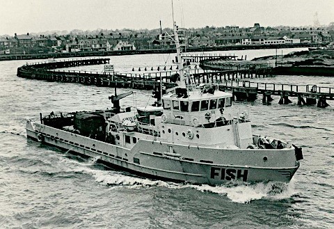 Le Silver Fish Le Silver Fish